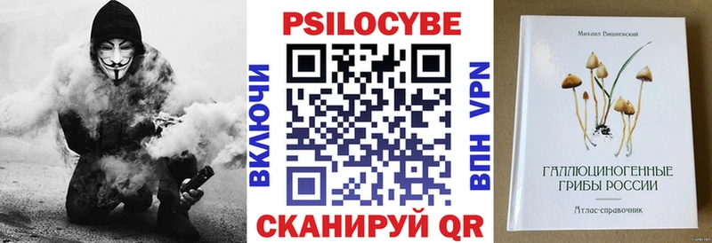 Псилоцибиновые грибы Psilocybe  продажа наркотиков  Шелехов 